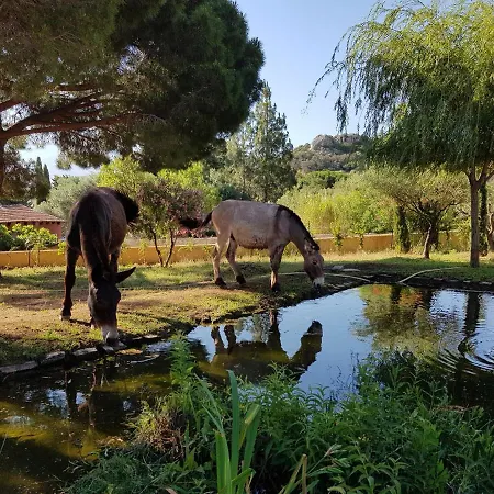 Maison De Enchantee A Avec Vue Sur Et Montagne Feriehus *