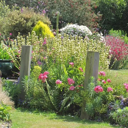 Maison De Enchantee A Avec Vue Sur Et Montagne Holiday home Calvi (Corsica)